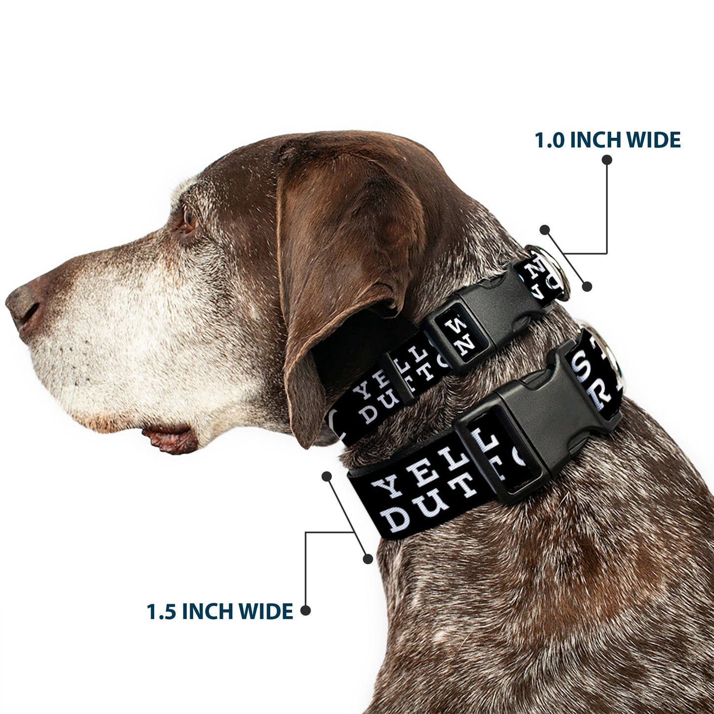 Close up of the plastic clip on the Yellowstone dog collar
