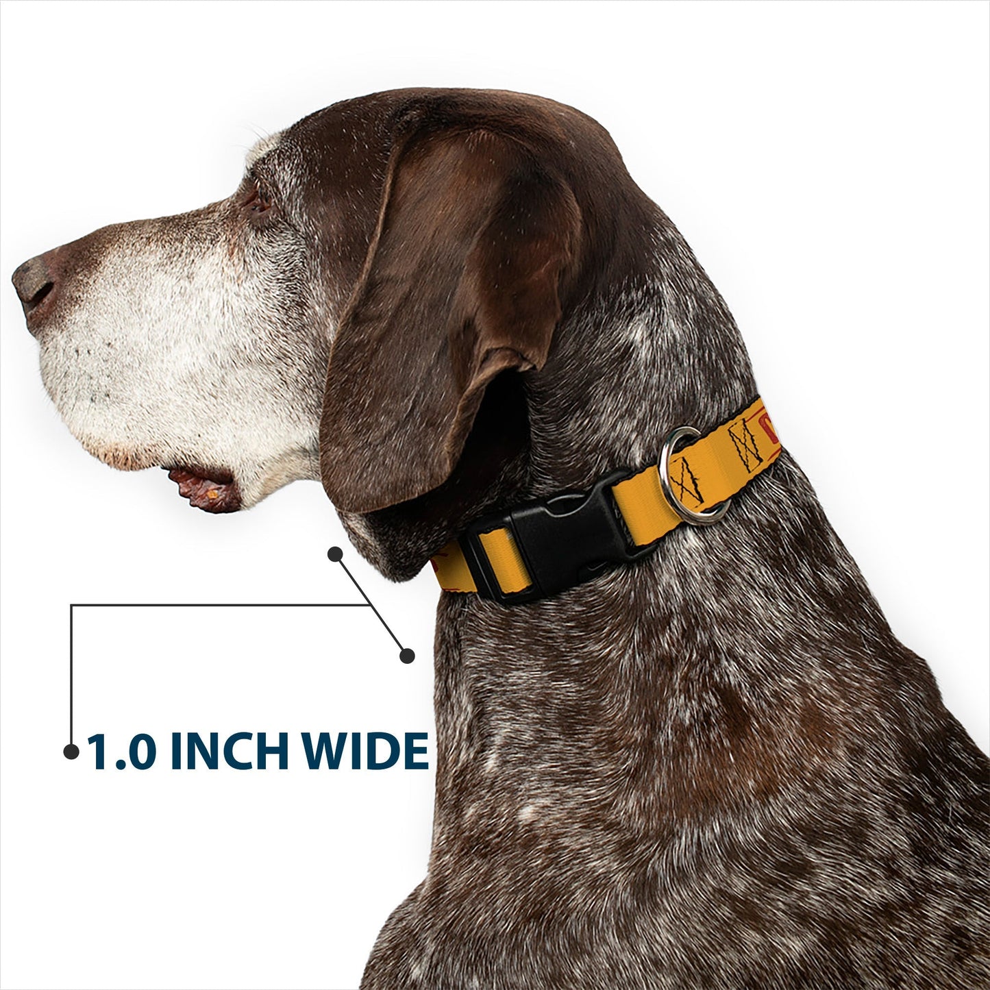 Durable stitching on the Yellowstone pet collar