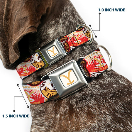 Yellowstone Dog Collar Y Logo Design Seatbelt Buckle Durable Adjustable White Yellow - Paramount Shop