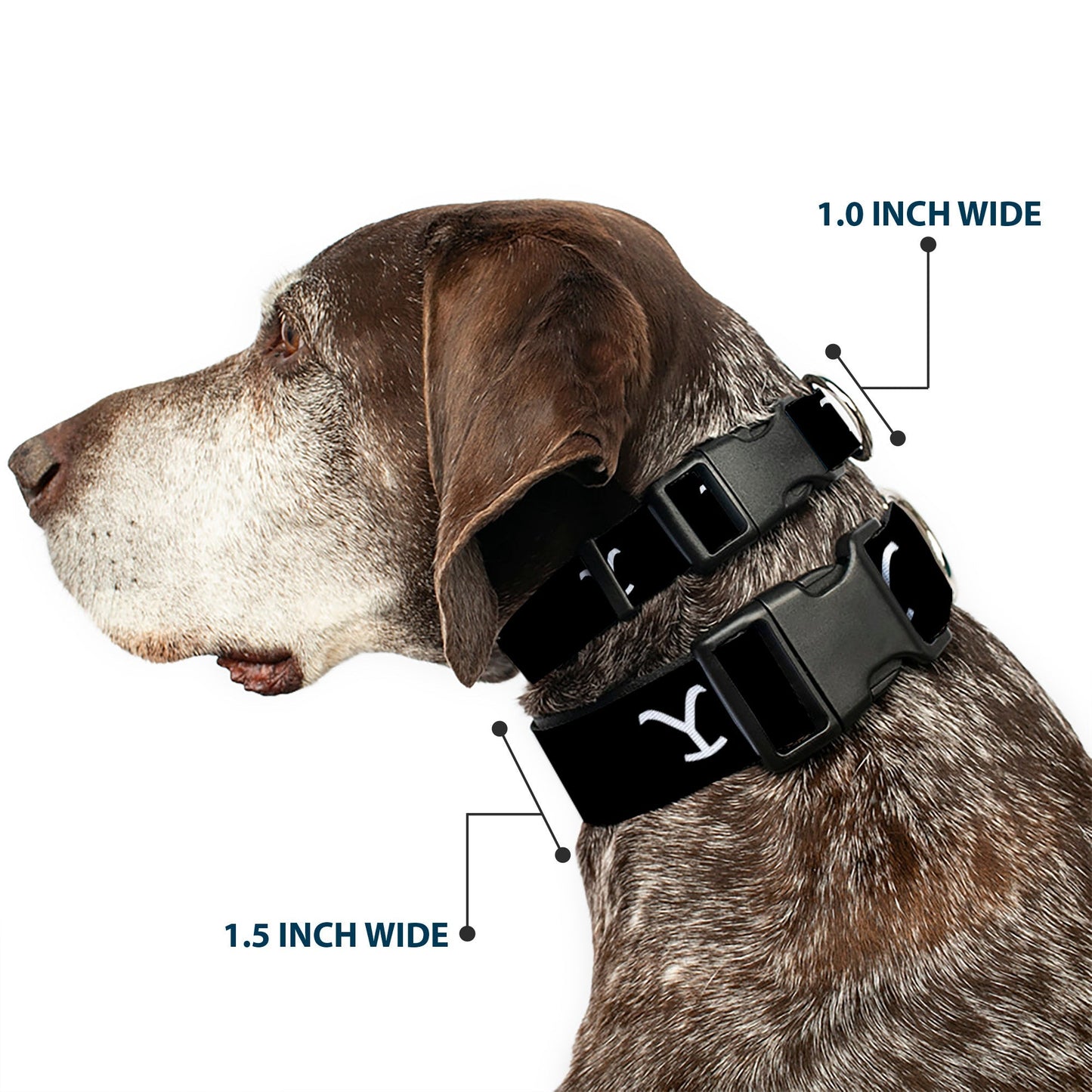 Close up of the durable plastic clip on Yellowstone dog collar