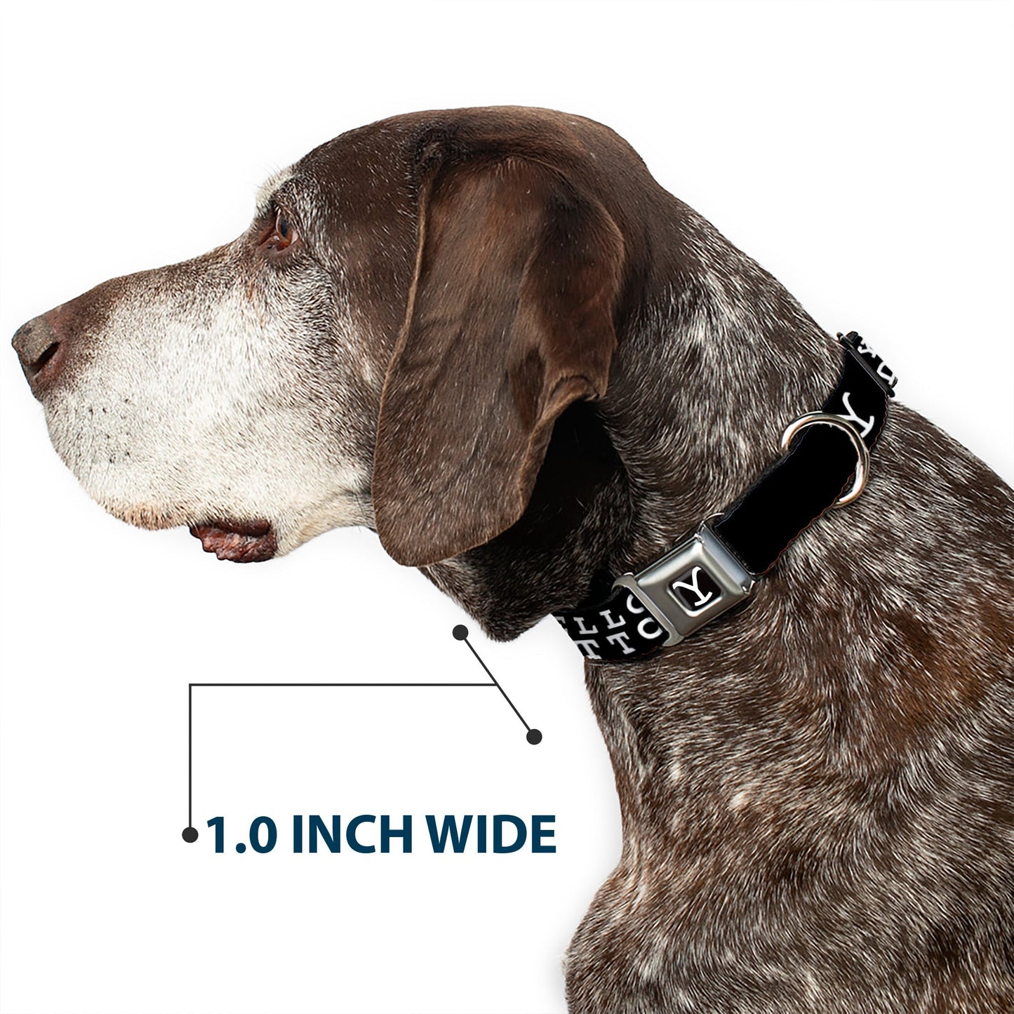 Yellowstone Dog Collar Y Logo Dutton Ranch Seatbelt Buckle Full Color Black/White - Paramount Shop