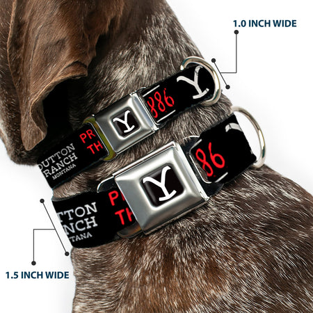 Yellowstone Dog Collar Y Logo Full Color Seatbelt Buckle Black and White - Paramount Shop