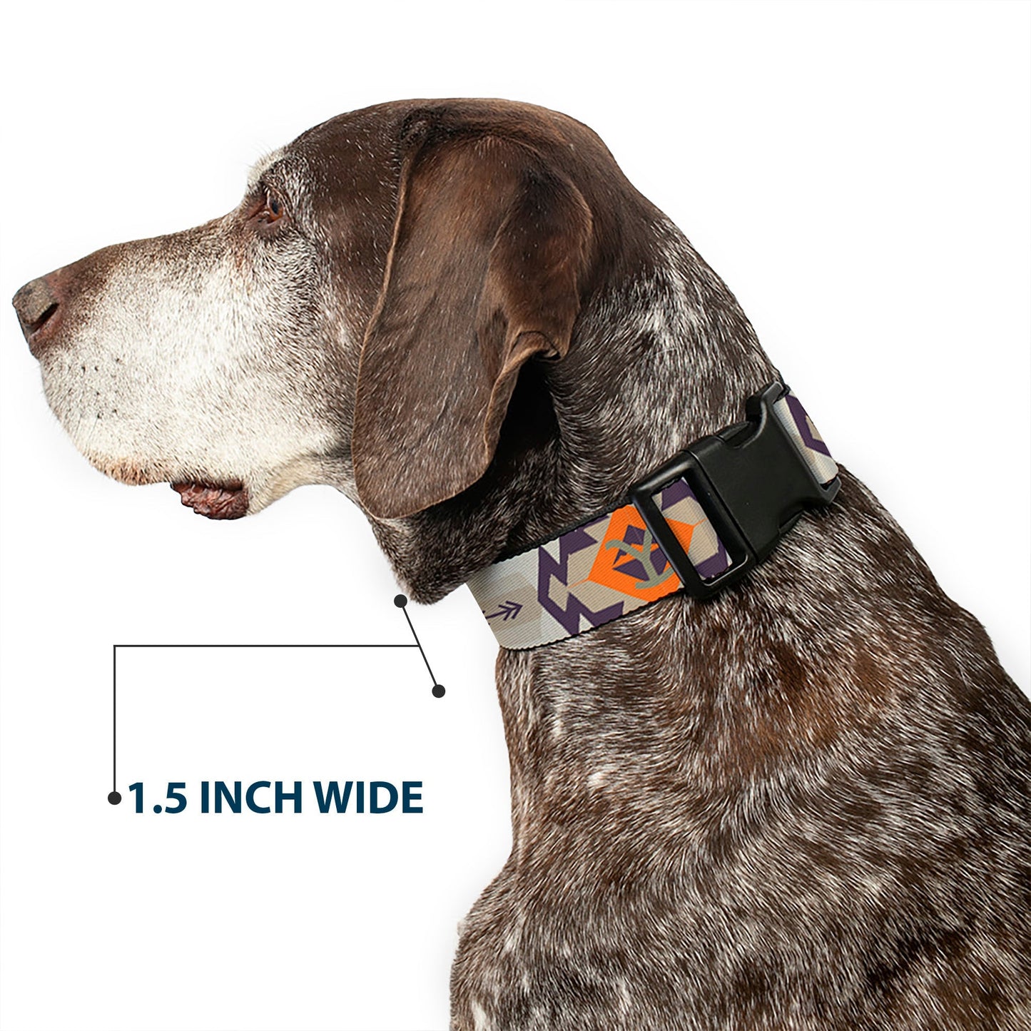 Packaging view of the official Yellowstone pet collar