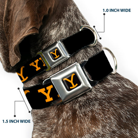 Yellowstone Dog Collar Y Logo Seatbelt Buckle Black Orange - Paramount Shop