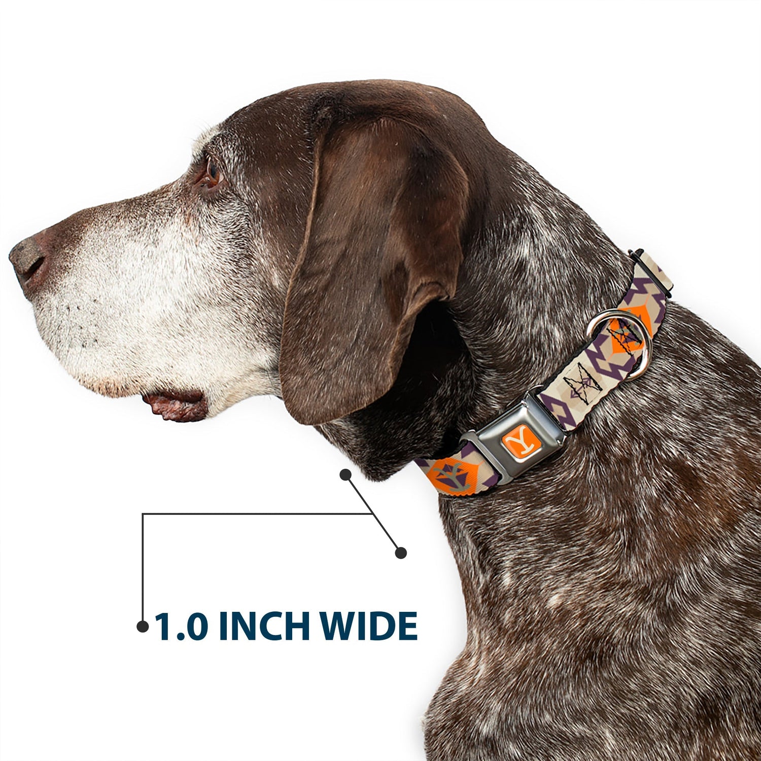 Yellowstone Dog Collar Y Logo Weathered Tribal Seatbelt Buckle Orange Blue - Paramount Shop