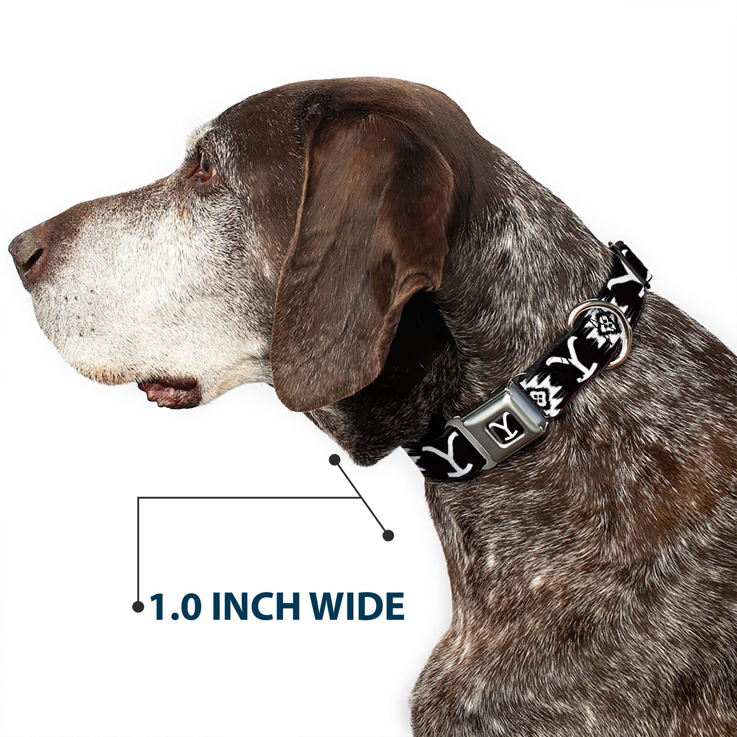 Yellowstone Logo Dog Collar Black/White Y Seatbelt Buckle - Paramount Shop